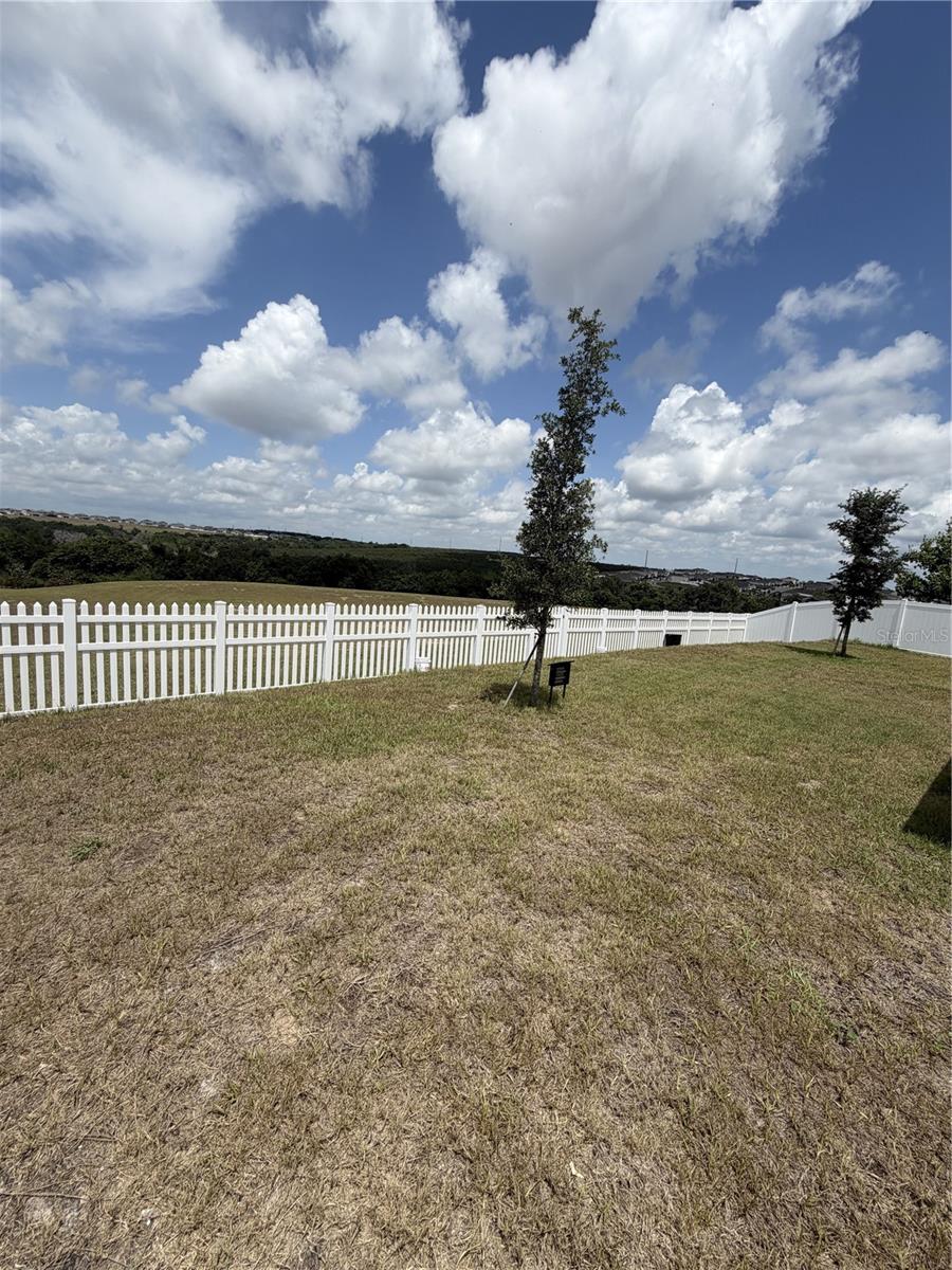 1033 CALICO POINTE CIR, GROVELAND, FL, 34736