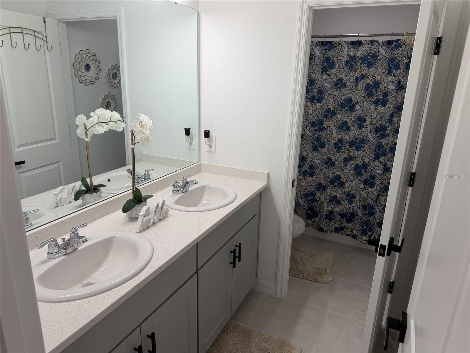 1033 CALICO POINTE CIR, GROVELAND, FL, 34736