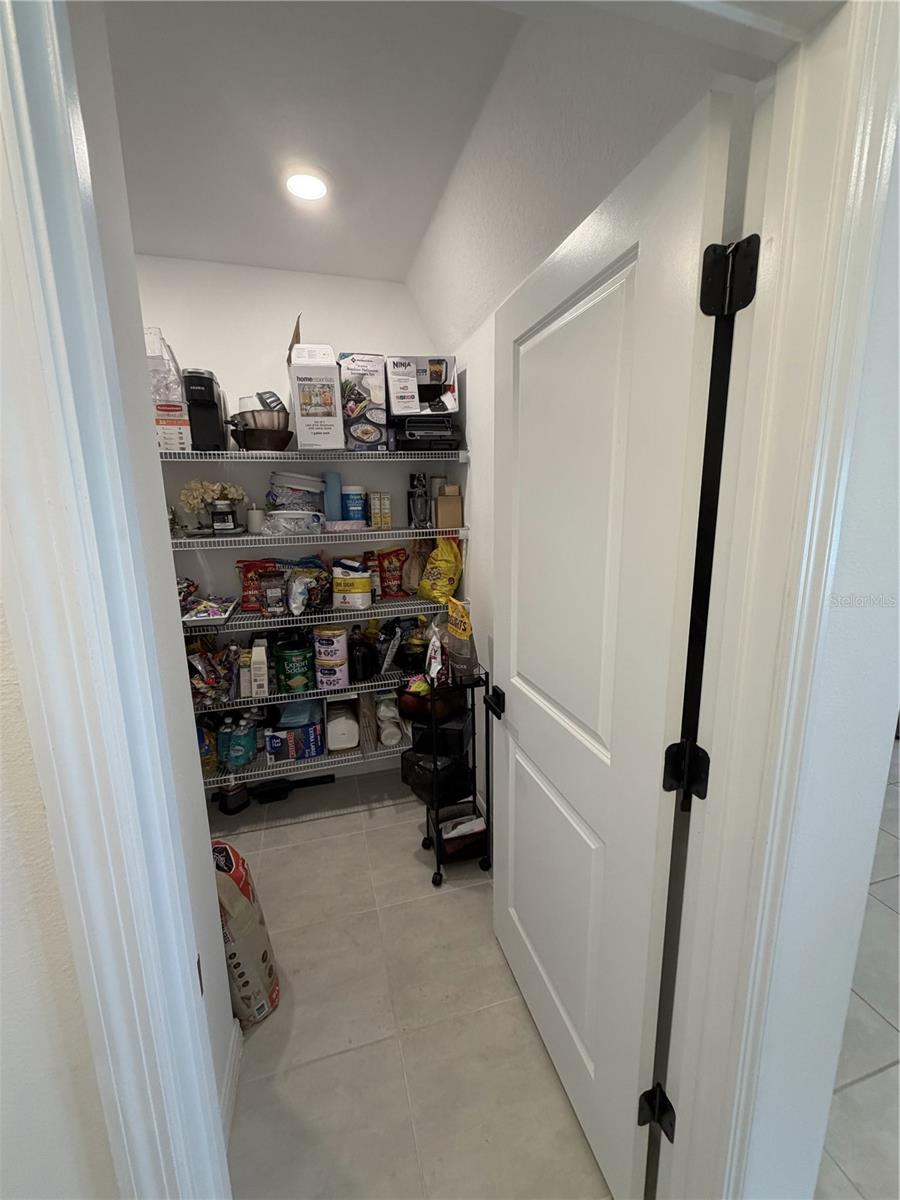 1033 CALICO POINTE CIR, GROVELAND, FL, 34736