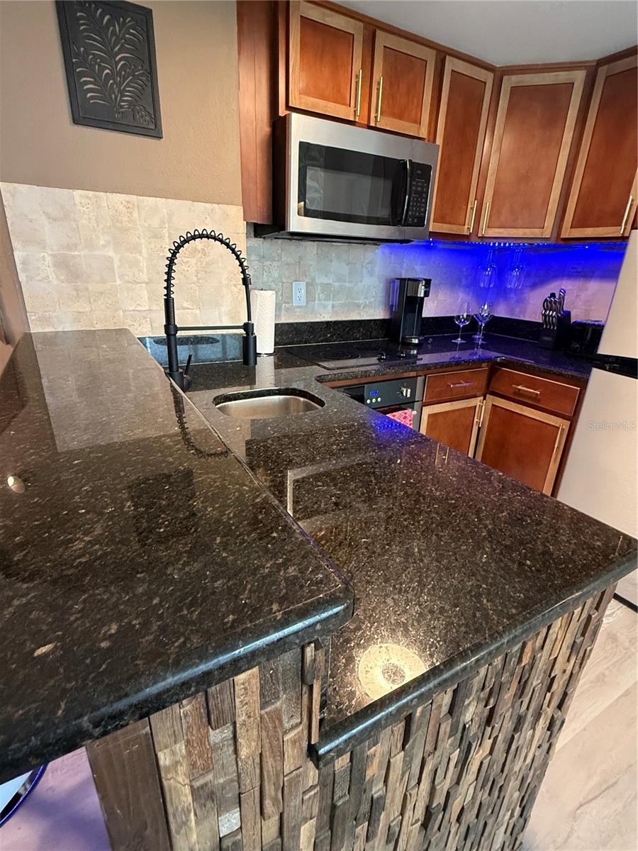 6165 CARRIER DR #1801, ORLANDO, FL, 32819