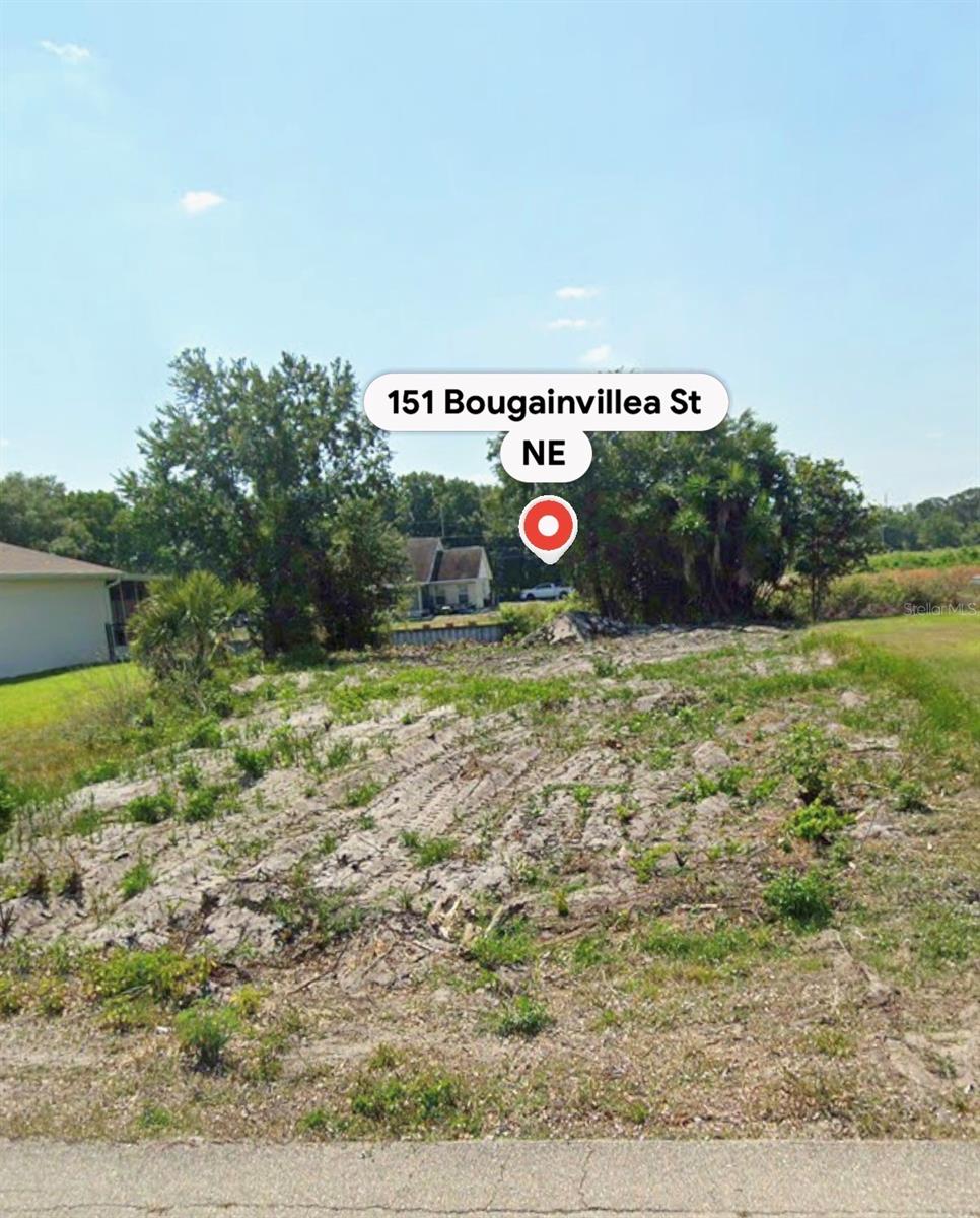 151 BOUGAINVILLEA ST NE, LAKE PLACID, FL, 33852