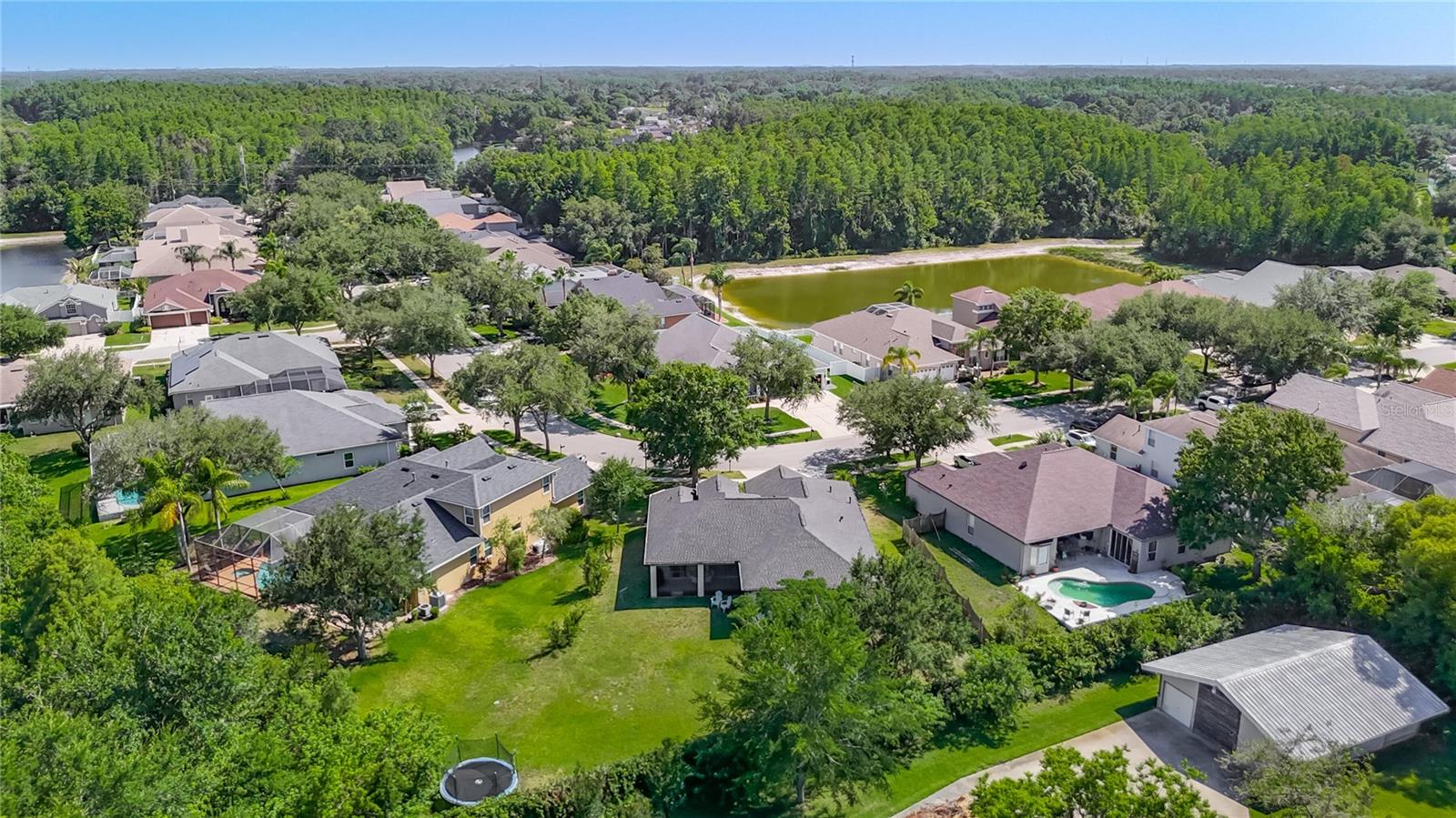 16923 MELISSA ANN DR, LUTZ, FL, 33558