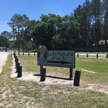 521 W LUTZ LAKE FERN RD, LUTZ, FL, 33548