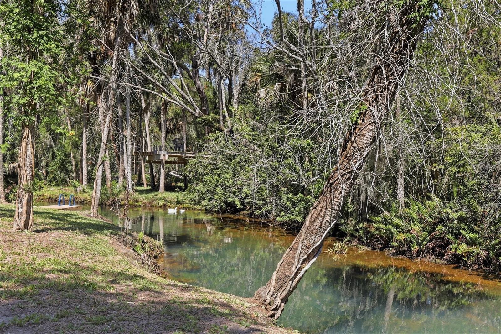 6240 COLONY CIR, WEEKI WACHEE, FL, 34607