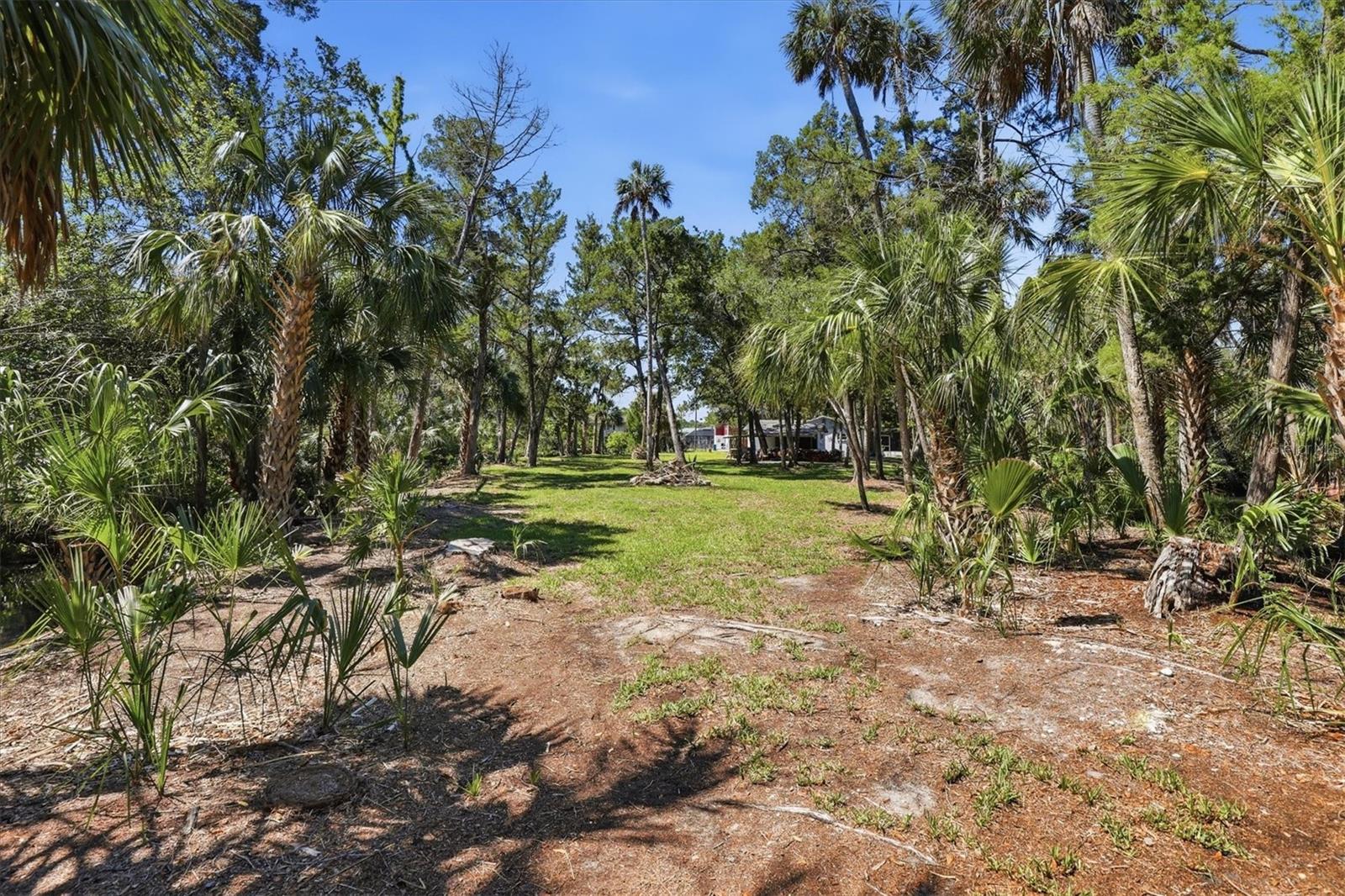6248 COLONY CIR, WEEKI WACHEE, FL, 34607