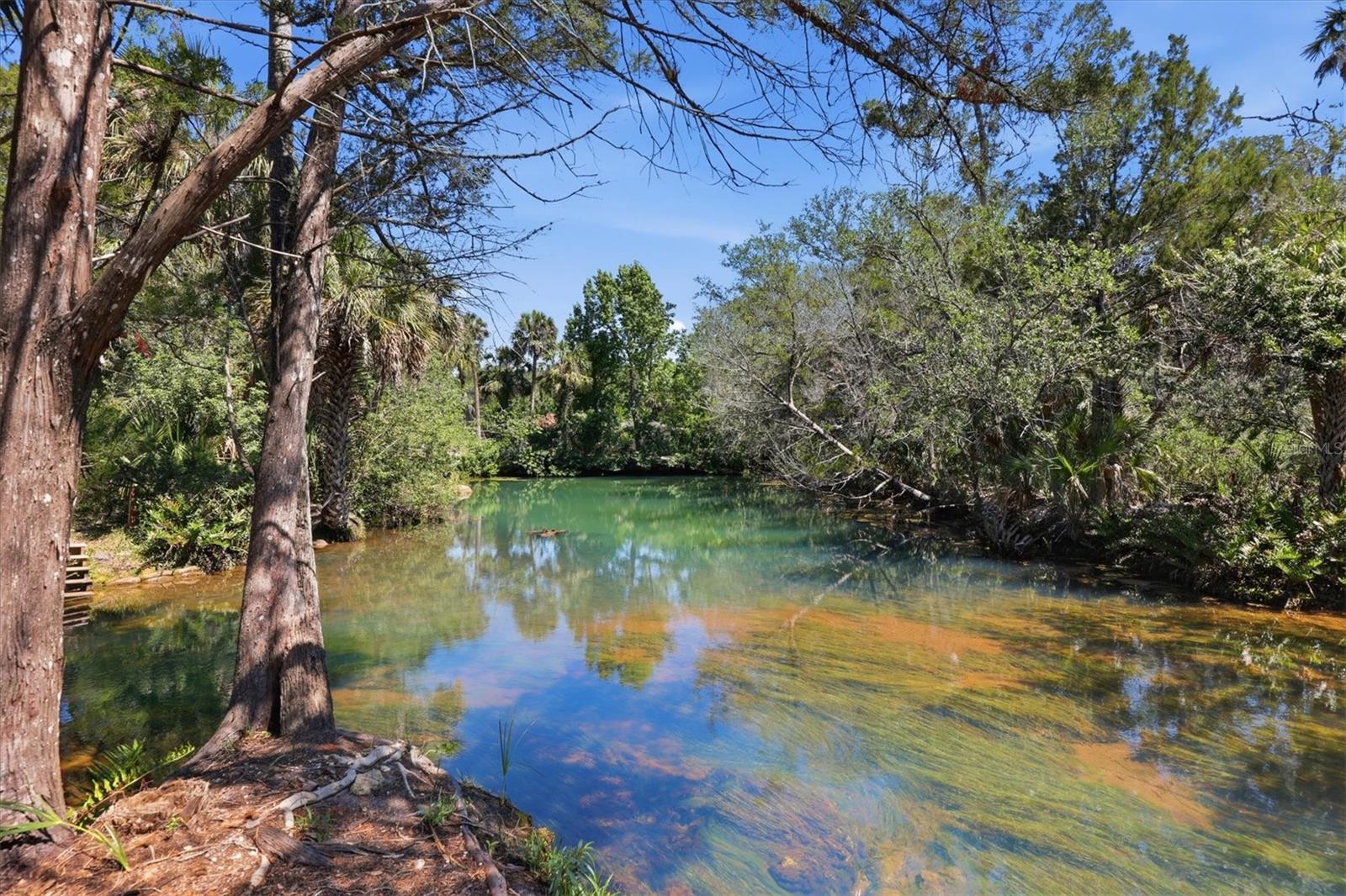 6248 COLONY CIR, WEEKI WACHEE, FL, 34607
