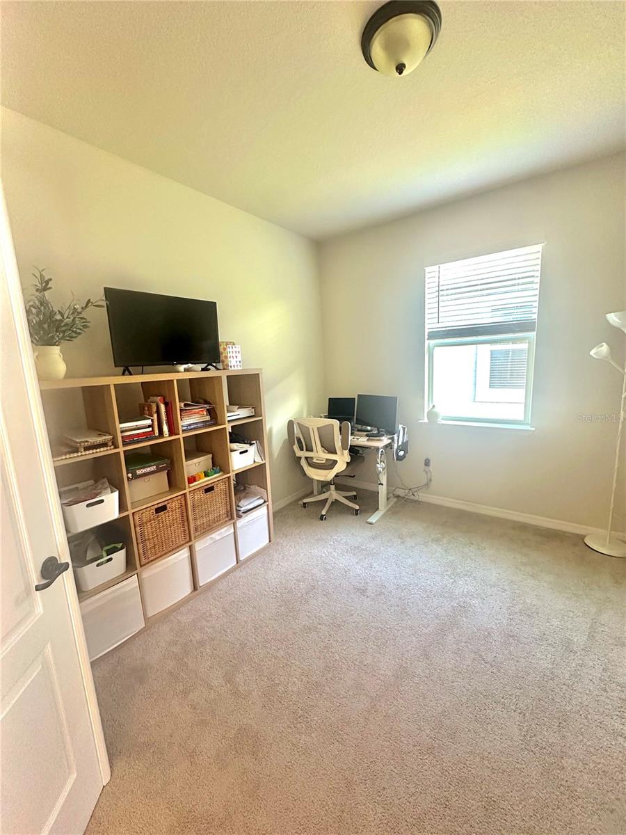 9610 RALLY SPRING LOOP, WESLEY CHAPEL, FL, 33545