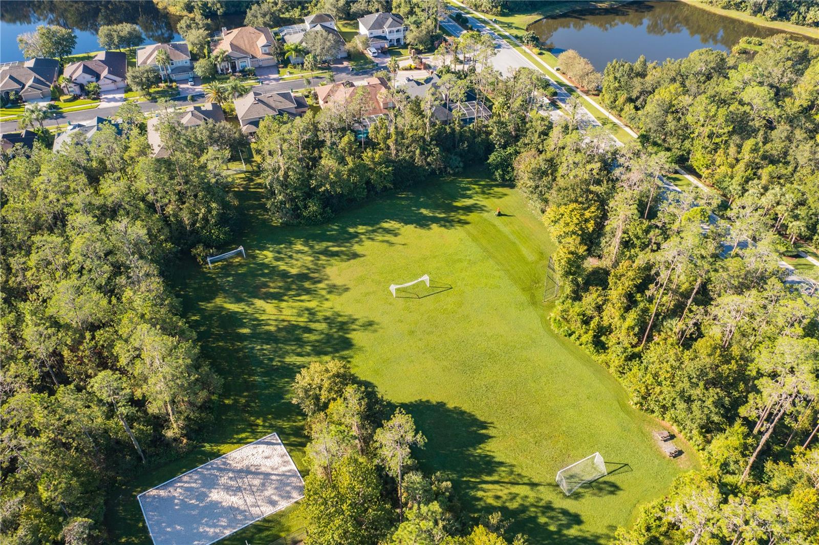 2409 SPRING HOLLOW LOOP, WESLEY CHAPEL, FL, 33544