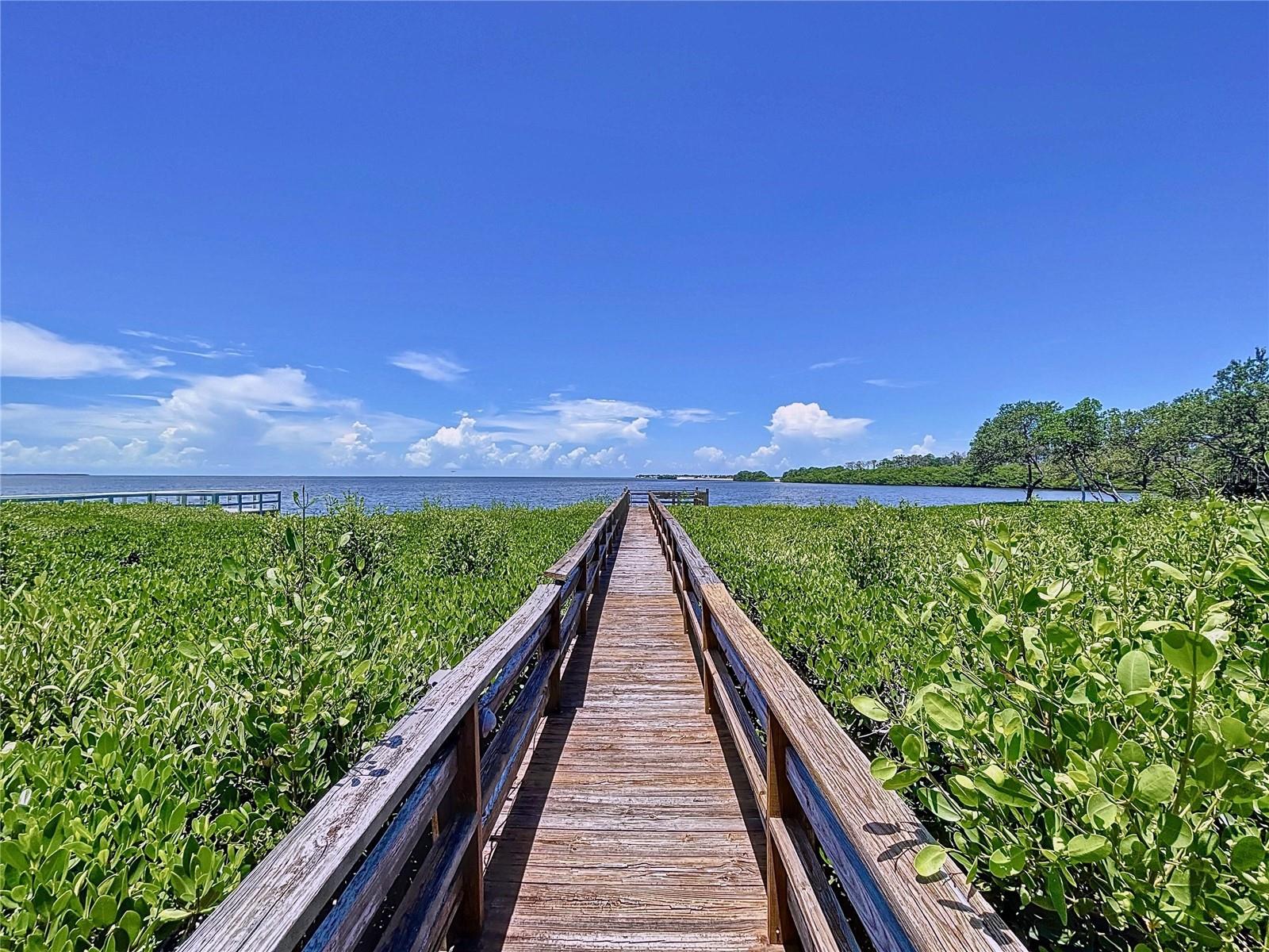 511 SEAVIEW DR, TARPON SPRINGS, FL, 34689