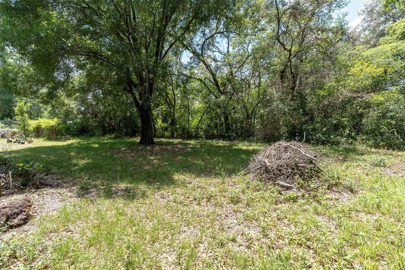 10422 N WOODMERE RD, TAMPA, FL, 33617