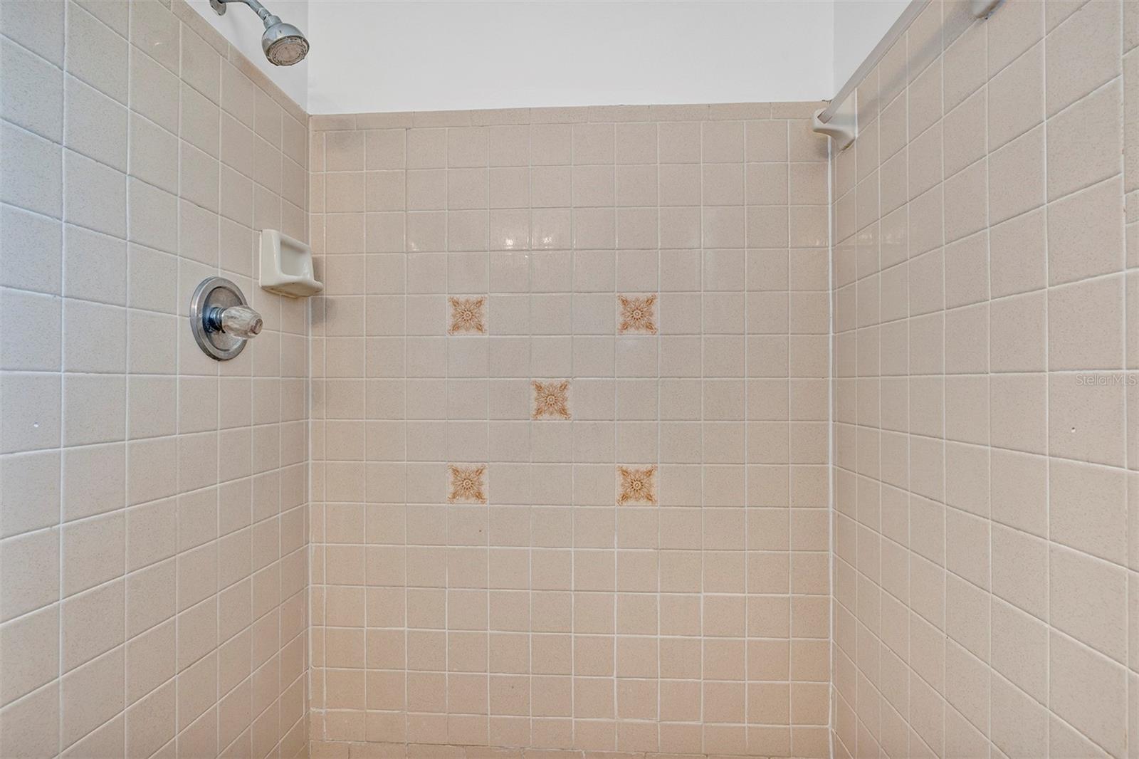 606 THIRD AVE, LADY LAKE, FL, 32159