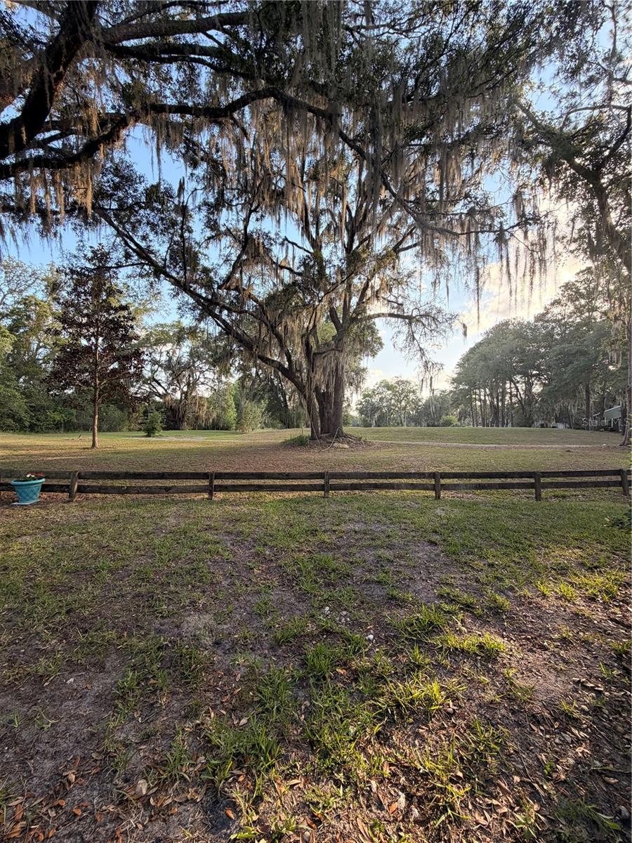 824 NW 124TH DR, NEWBERRY, FL, 32669