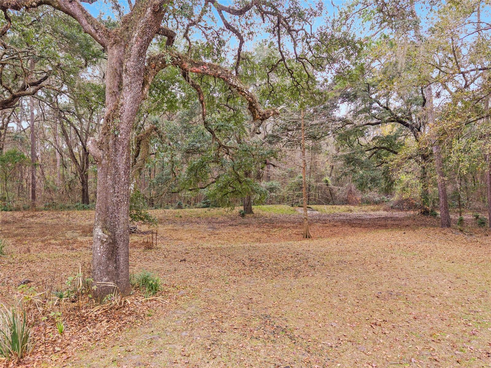 11121 NW 15TH PL, GAINESVILLE, FL, 32606
