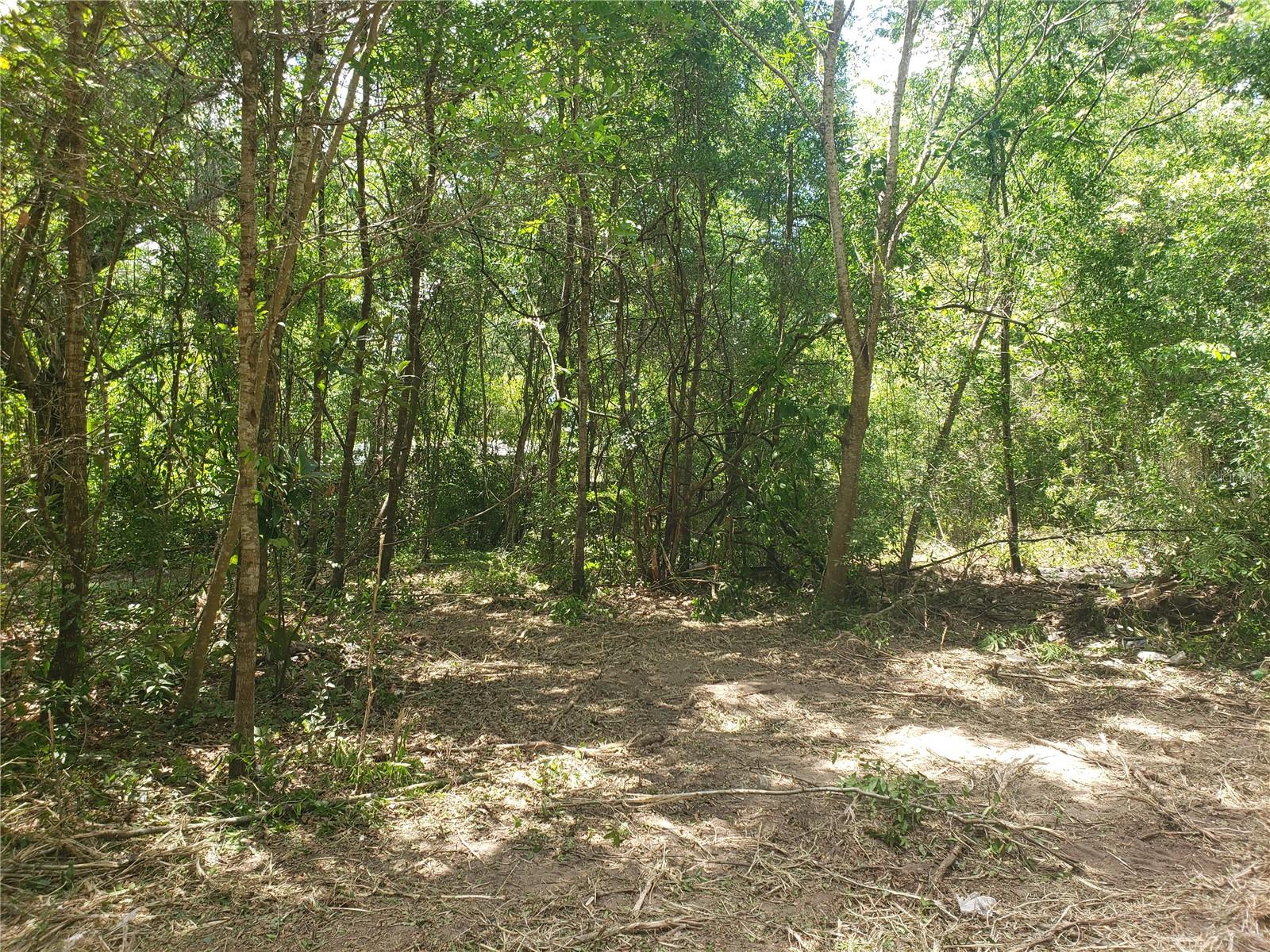 5601 NW 71ST ST, OCALA, FL, 34482