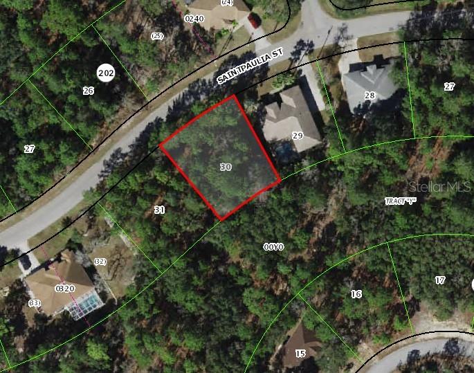 29 SAINTPAULIA ST, HOMOSASSA, FL, 34446