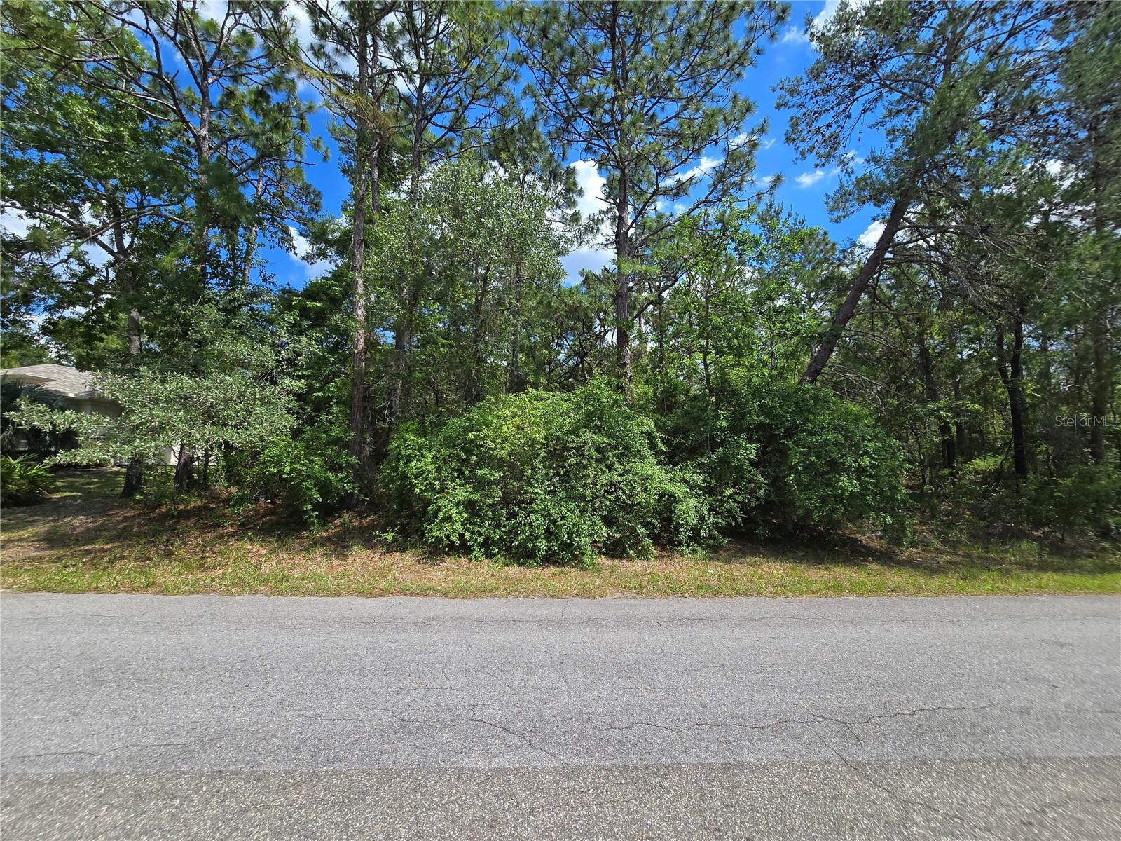 29 SAINTPAULIA ST, HOMOSASSA, FL, 34446