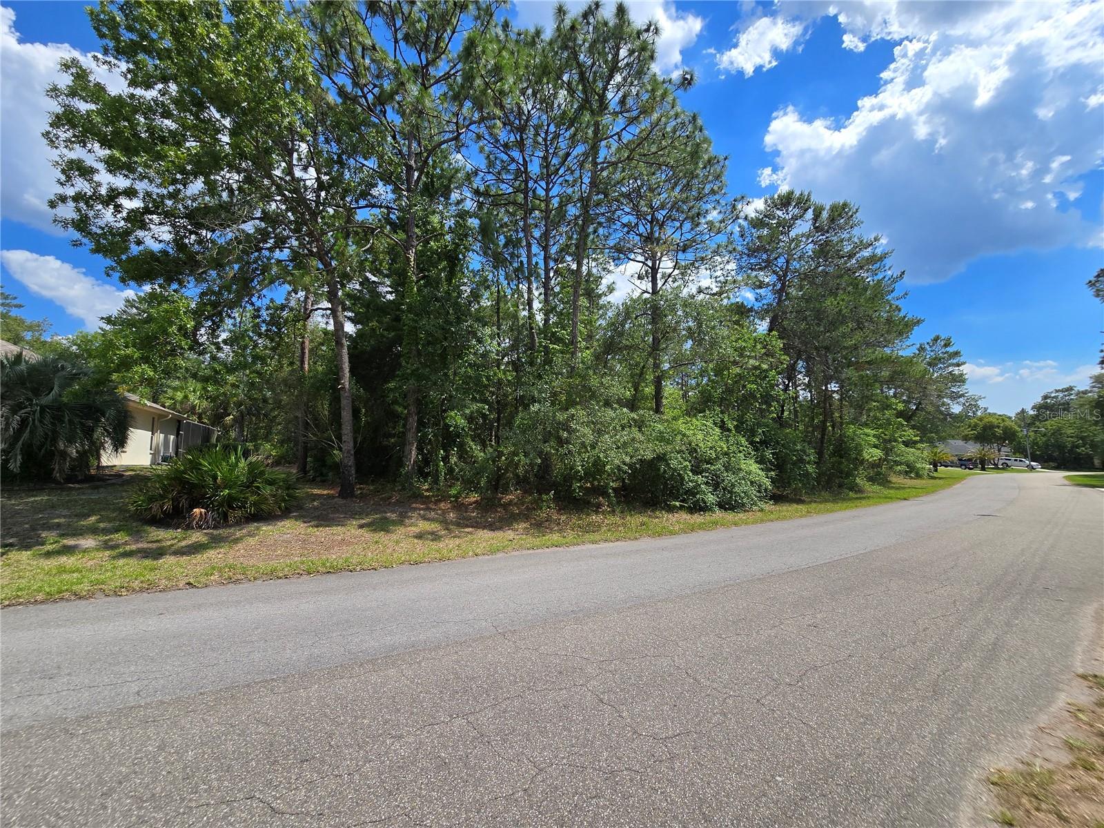 29 SAINTPAULIA ST, HOMOSASSA, FL, 34446