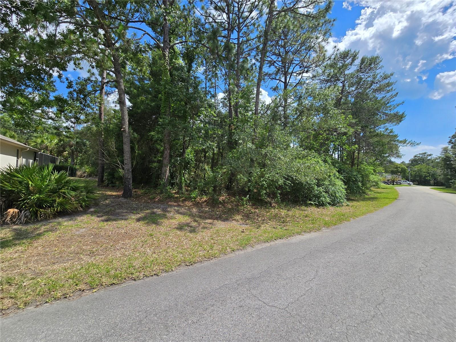 29 SAINTPAULIA ST, HOMOSASSA, FL, 34446