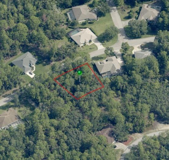 29 SAINTPAULIA ST, HOMOSASSA, FL, 34446