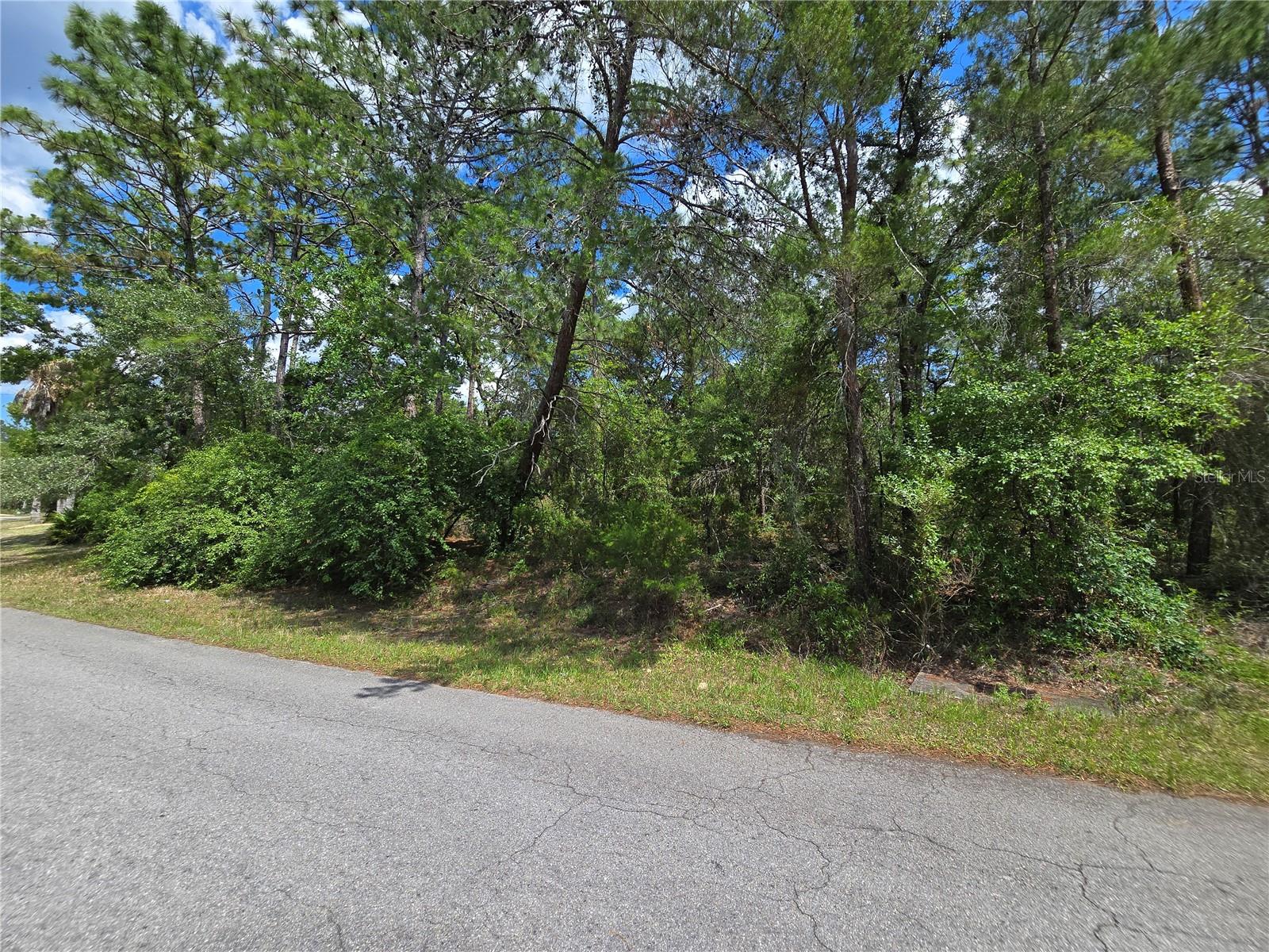 29 SAINTPAULIA ST, HOMOSASSA, FL, 34446
