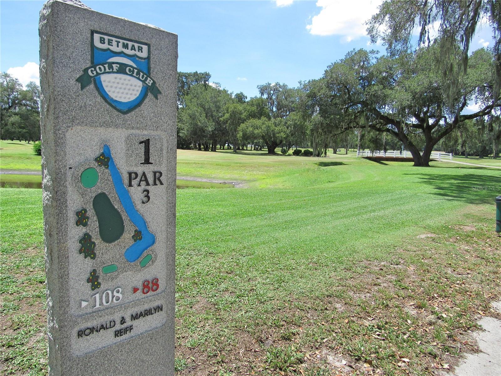 36831 GRACE AVE, ZEPHYRHILLS, FL, 33542