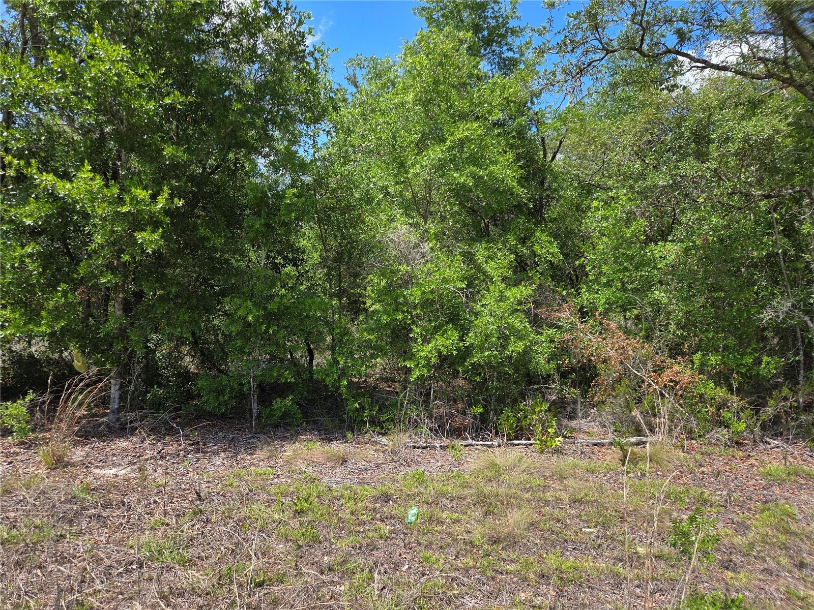 0000 NE 73RD LN, BRONSON, FL, 32621