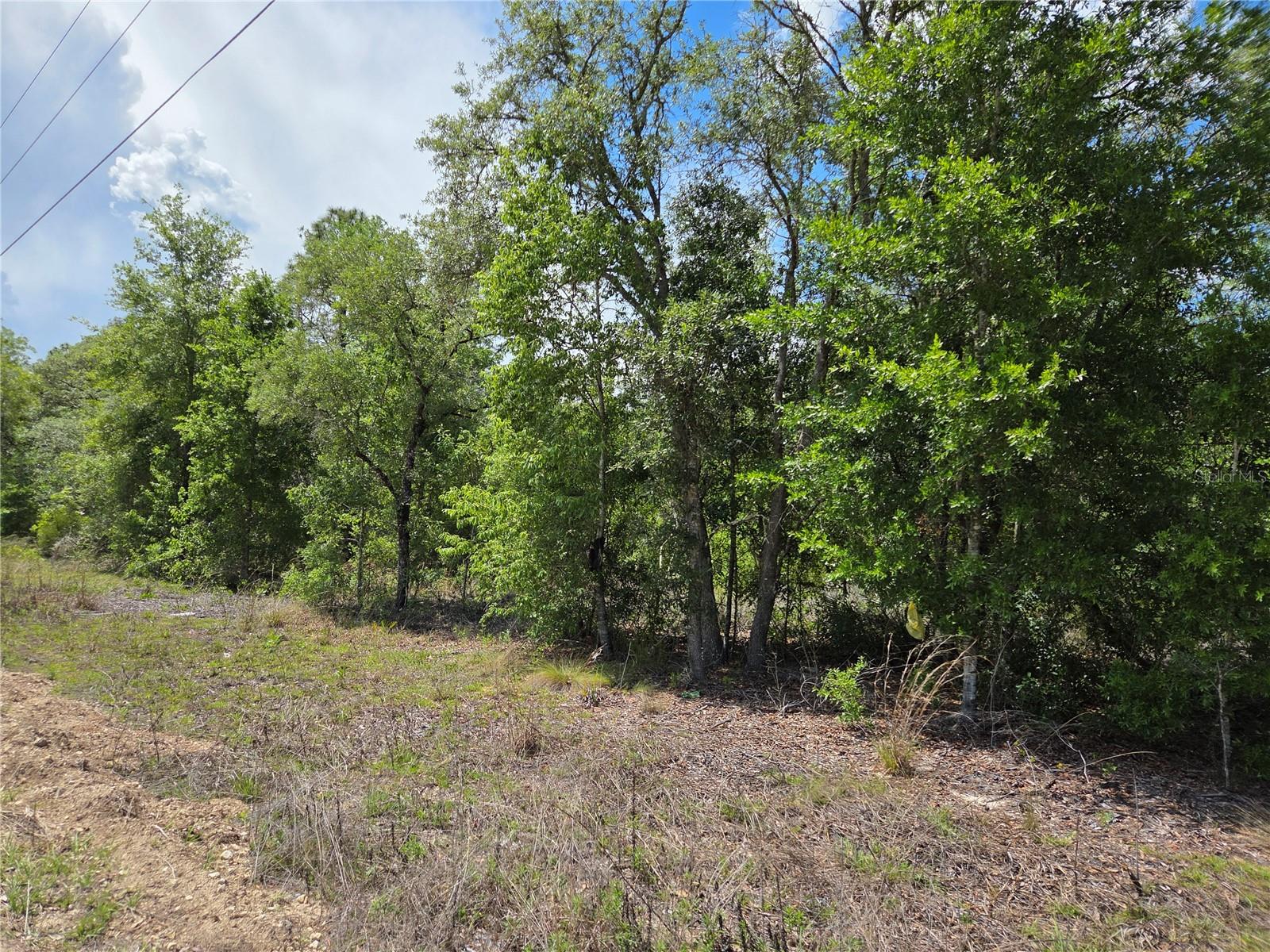 0000 NE 73RD LN, BRONSON, FL, 32621
