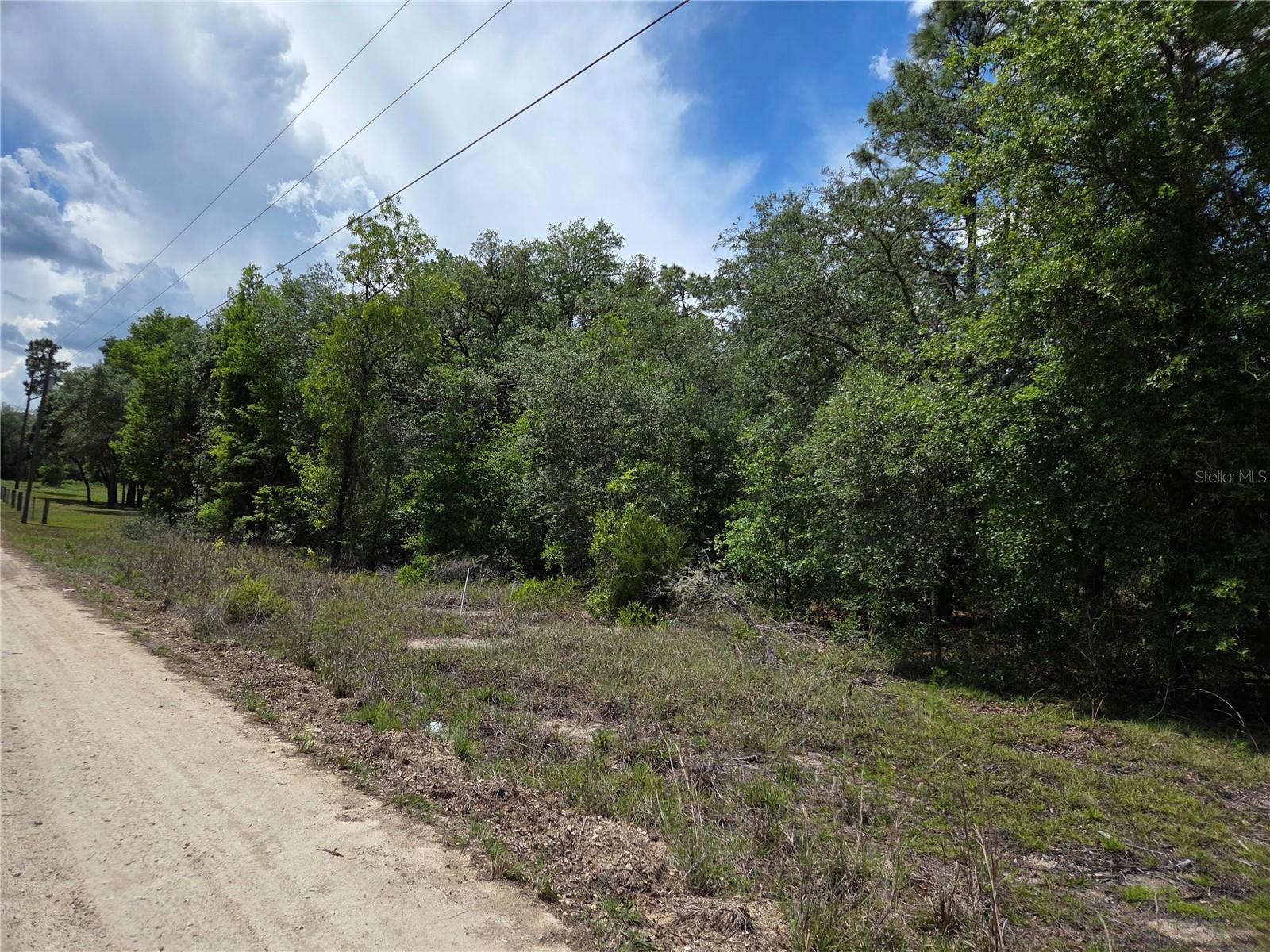 0000 NE 73RD LN, BRONSON, FL, 32621