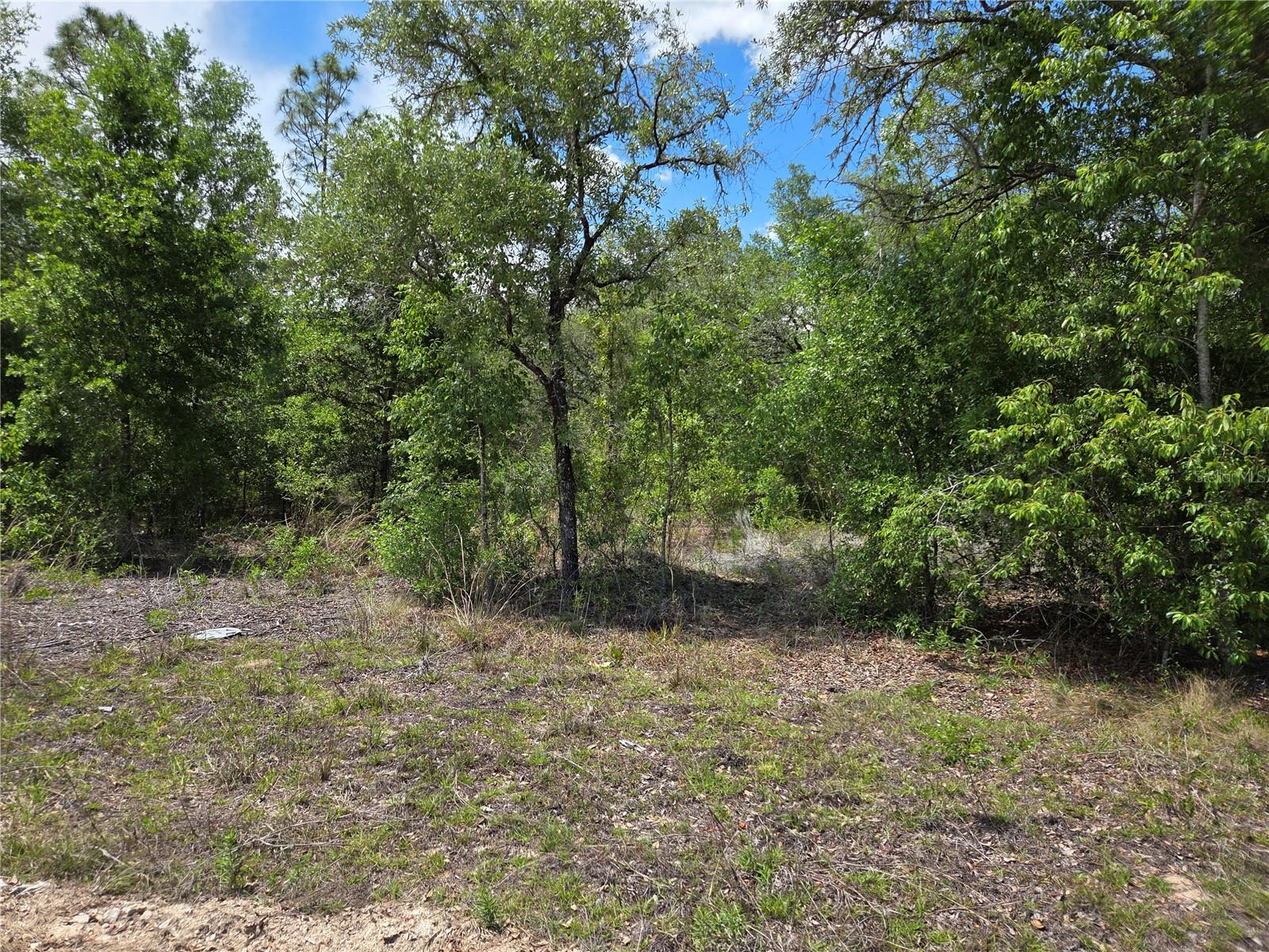 0000 NE 73RD LN, BRONSON, FL, 32621