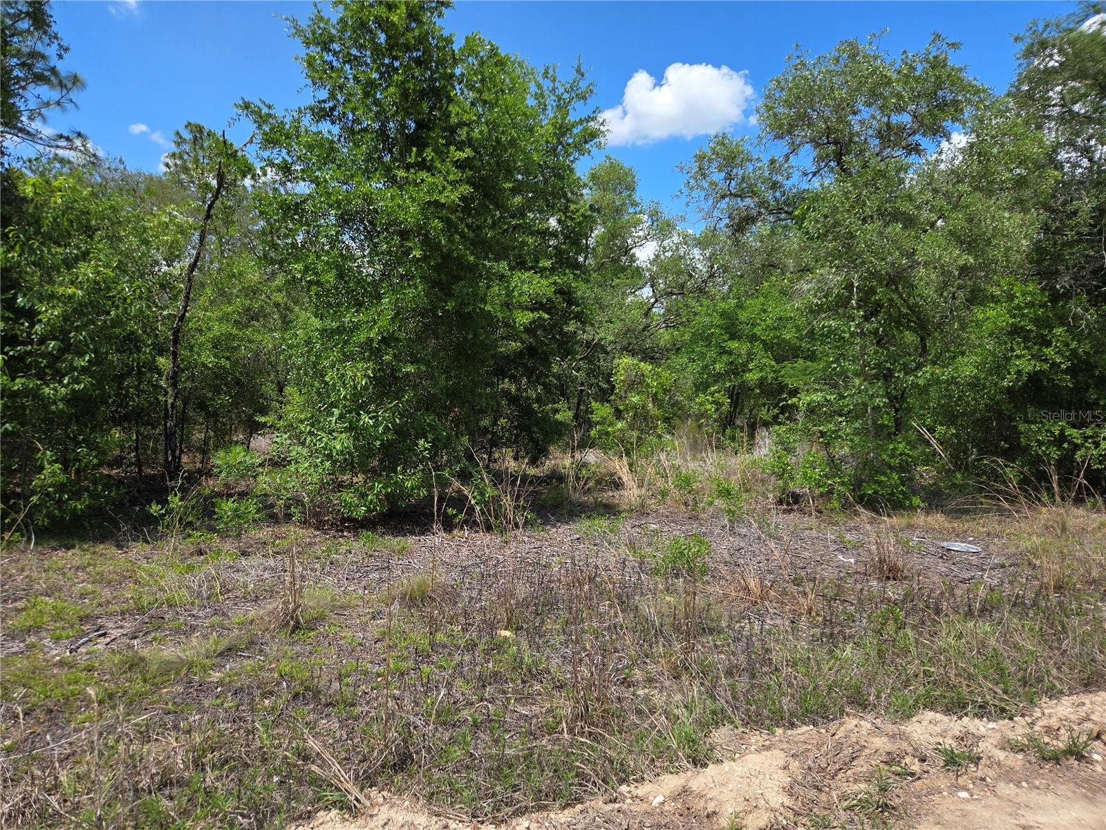 0000 NE 73RD LN, BRONSON, FL, 32621