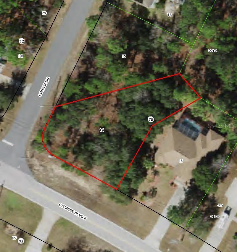 228 LINDER DR, HOMOSASSA, FL, 34446