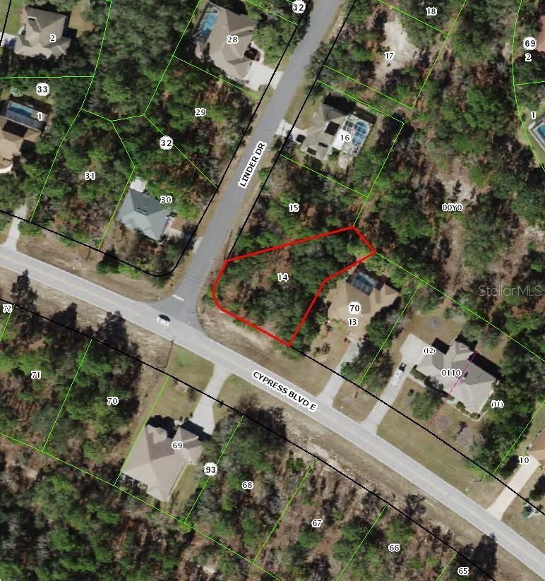 228 LINDER DR, HOMOSASSA, FL, 34446