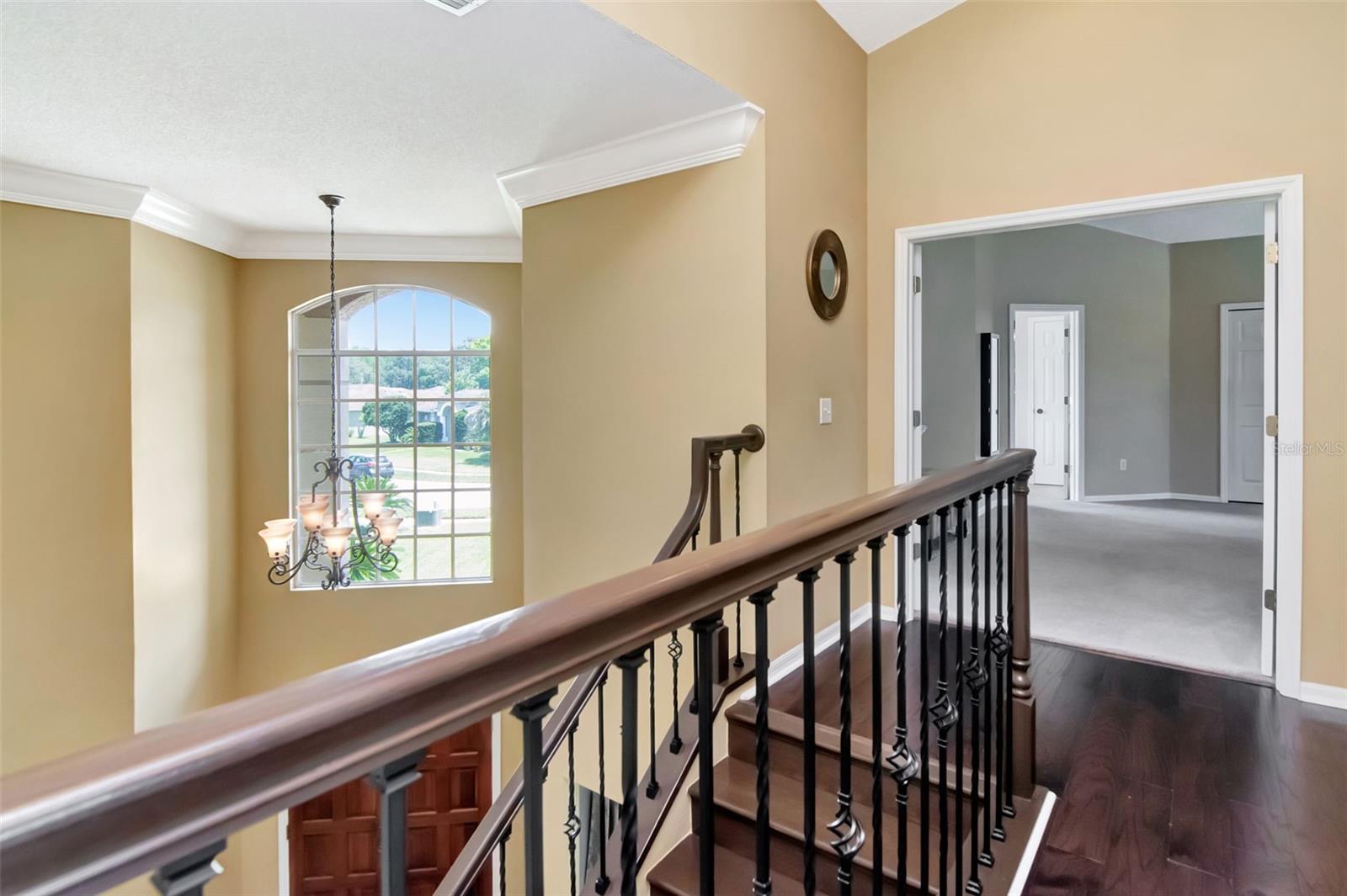 18511 BITTERN AVE, LUTZ, FL, 33558