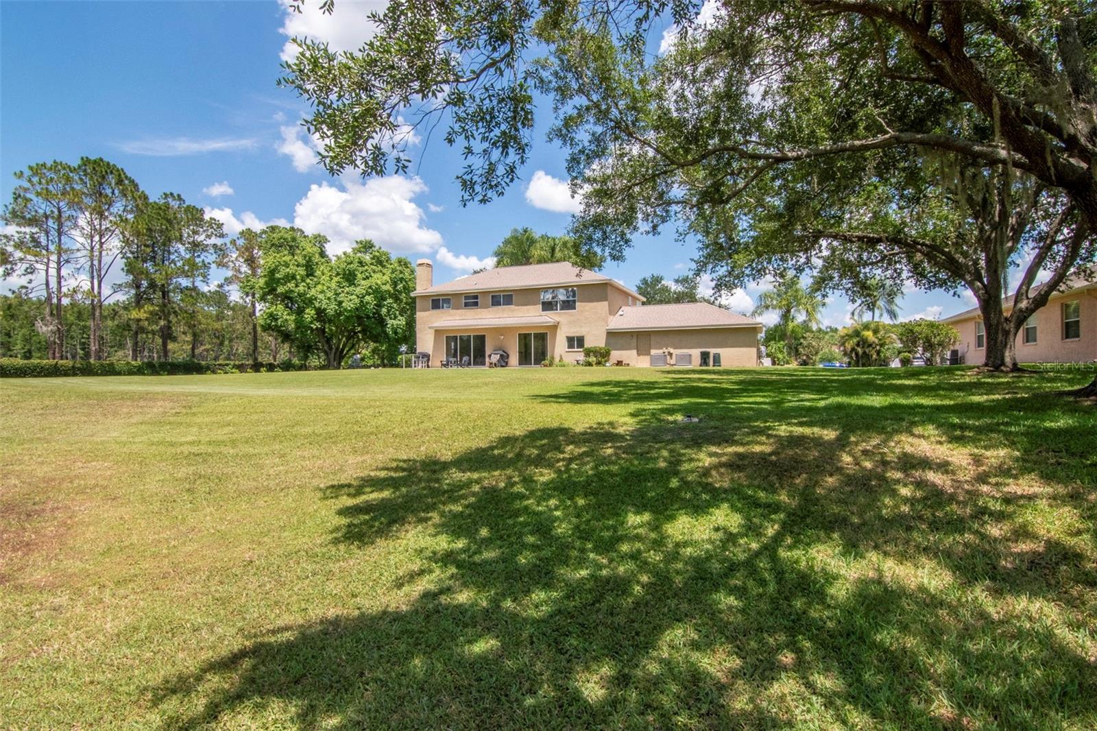 18511 BITTERN AVE, LUTZ, FL, 33558