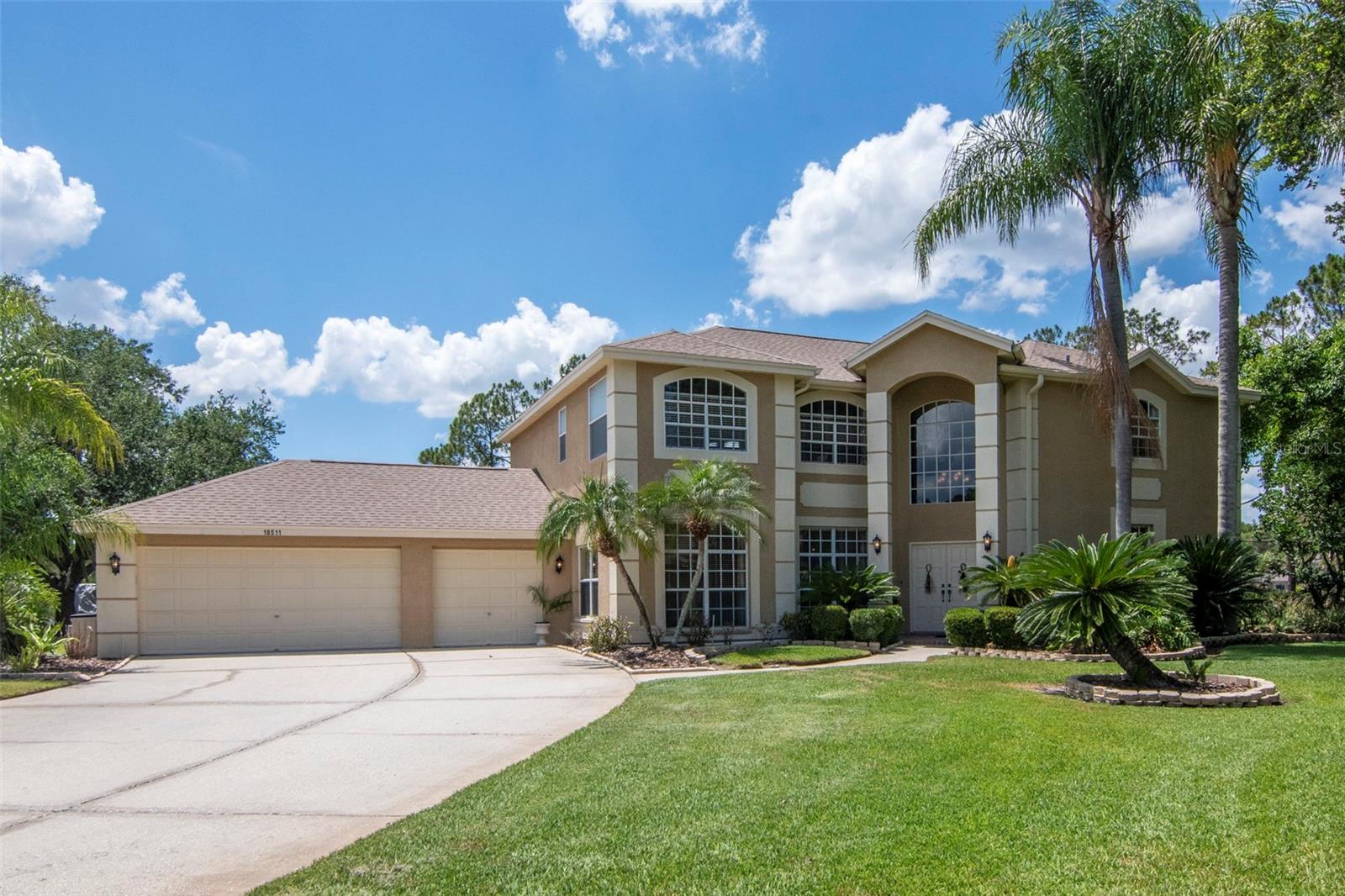 18511 BITTERN AVE, LUTZ, FL, 33558