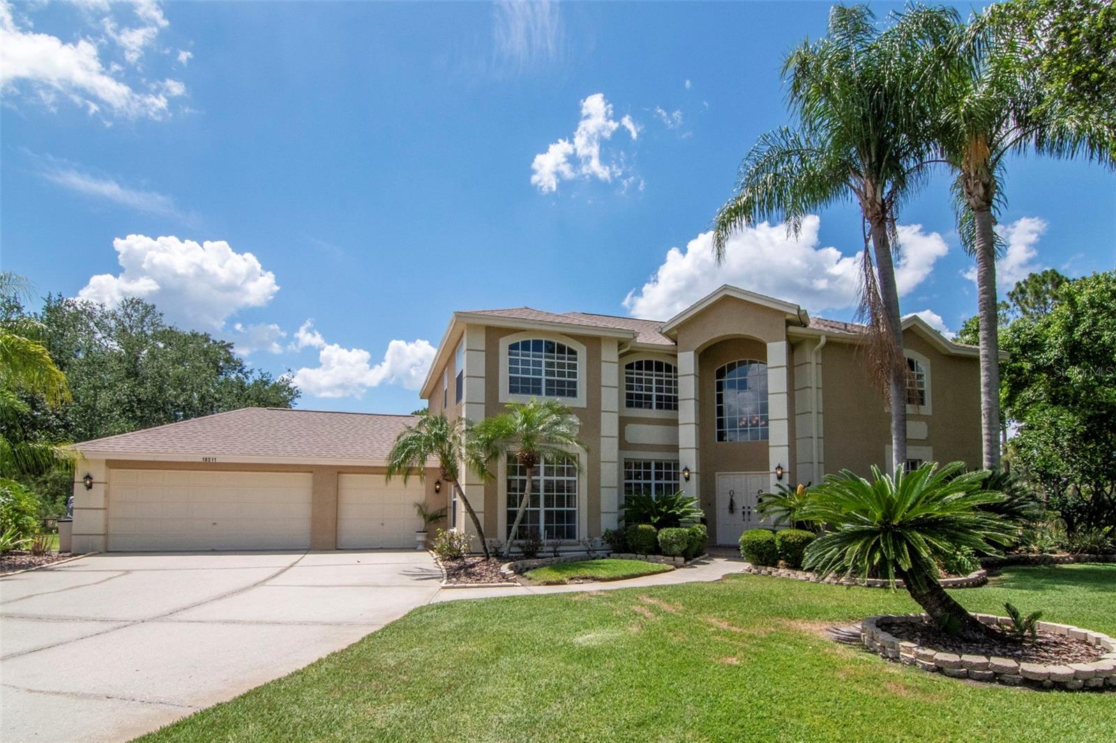 18511 BITTERN AVE, LUTZ, FL, 33558