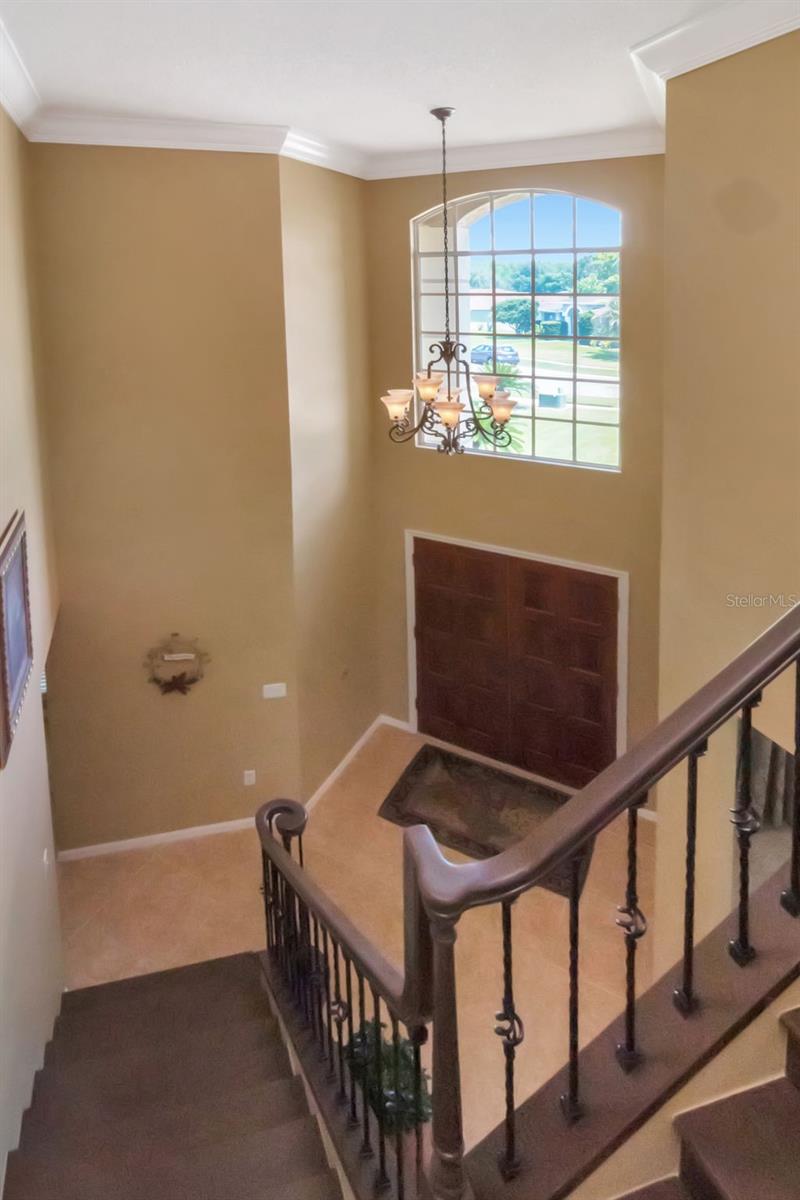 18511 BITTERN AVE, LUTZ, FL, 33558