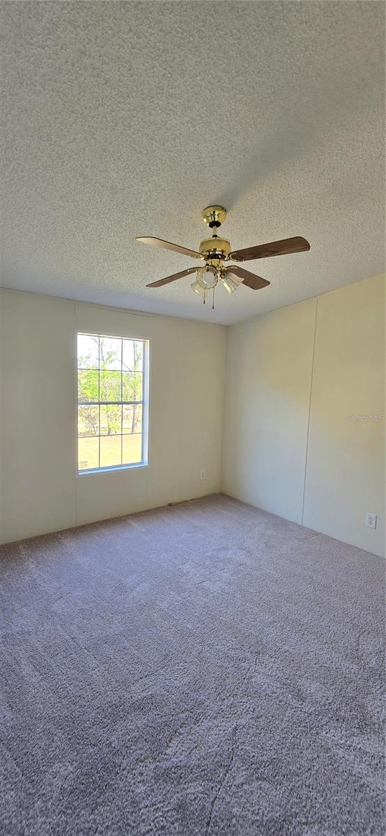 14351 ROCK N ROLL RD, CLERMONT, FL, 34715