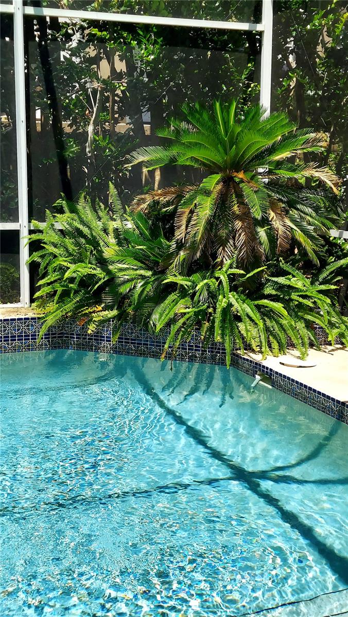 7316 CHESTERHILL CIR, MOUNT DORA, FL, 32757