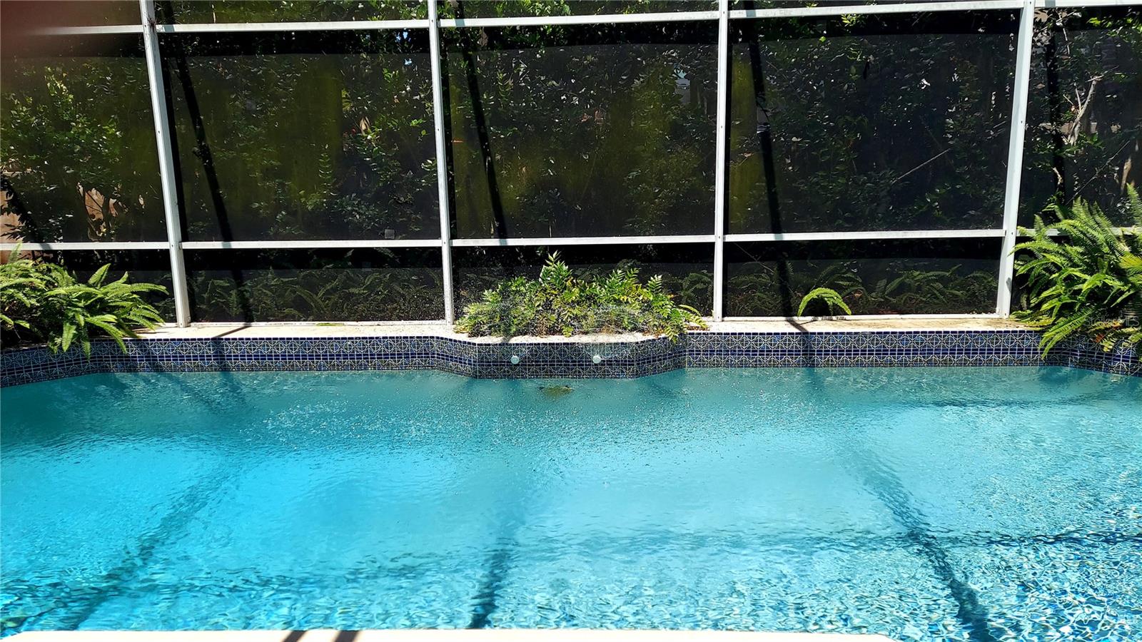 7316 CHESTERHILL CIR, MOUNT DORA, FL, 32757