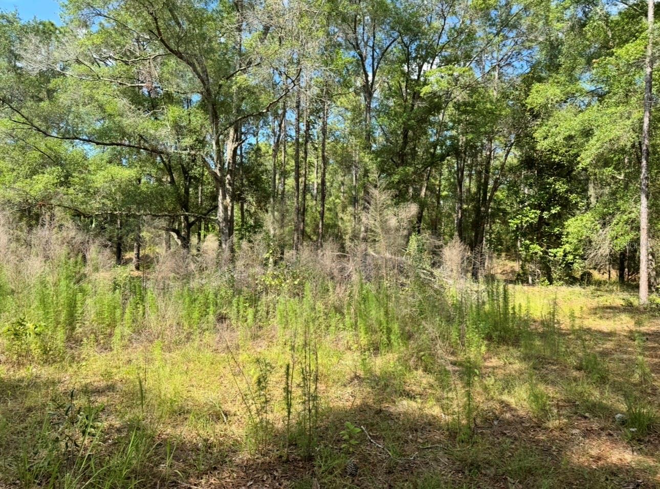 15570 CLIFF SWALLOW RD, WEEKI WACHEE, FL, 34614