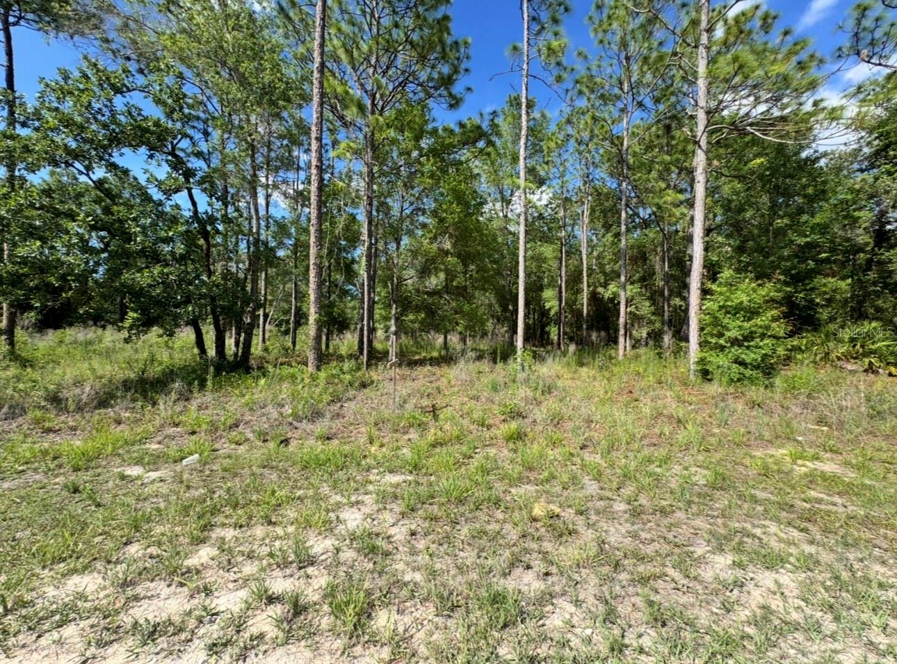 15570 CLIFF SWALLOW RD, WEEKI WACHEE, FL, 34614