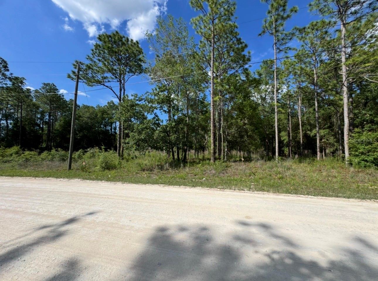 15570 CLIFF SWALLOW RD, WEEKI WACHEE, FL, 34614