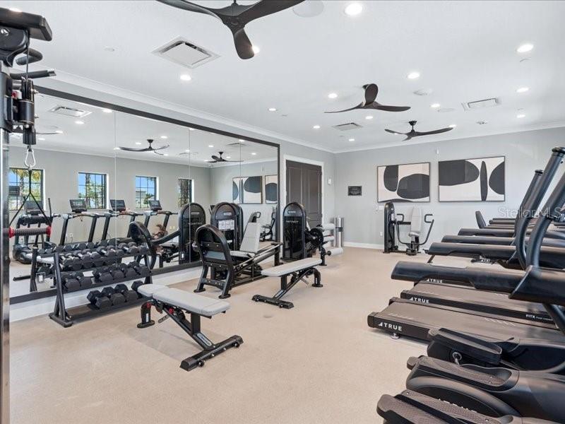 12032 BLUE DIAMOND TRL, PARRISH, FL, 34219