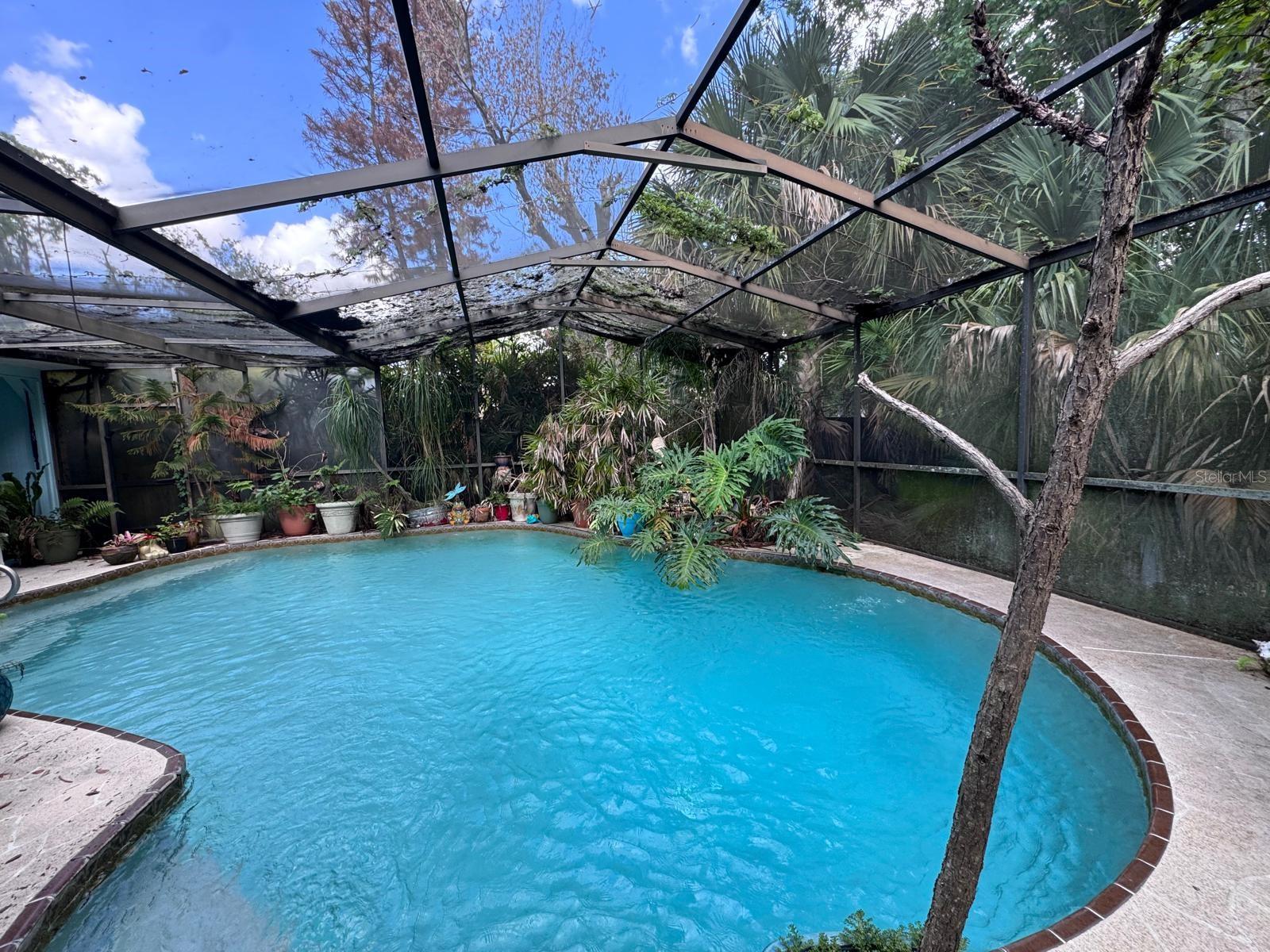 226 W CUMBERLAND CIR, LONGWOOD, FL, 32779