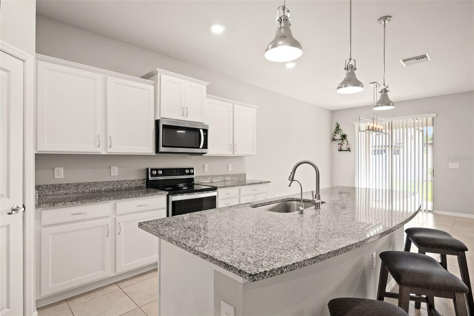 18929 BIRCHWOOD GROVES DR, LUTZ, FL, 33558
