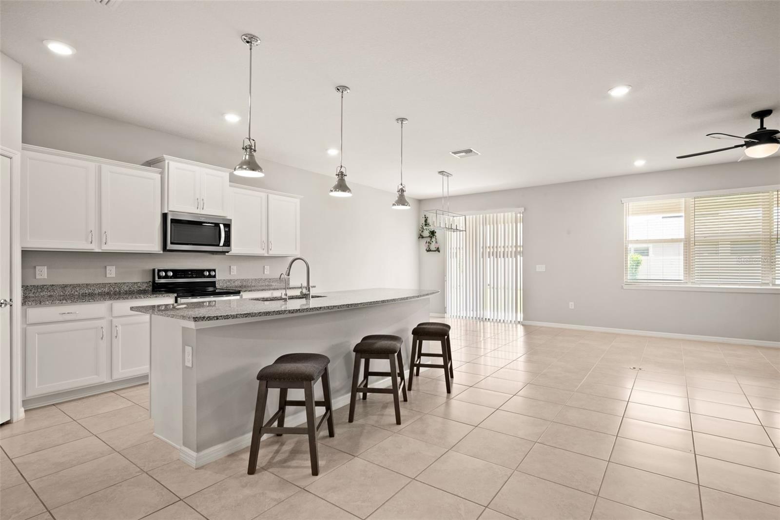 18929 BIRCHWOOD GROVES DR, LUTZ, FL, 33558
