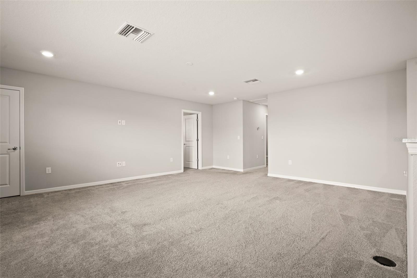 18929 BIRCHWOOD GROVES DR, LUTZ, FL, 33558