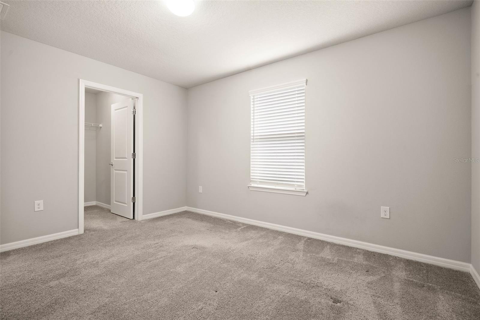 18929 BIRCHWOOD GROVES DR, LUTZ, FL, 33558