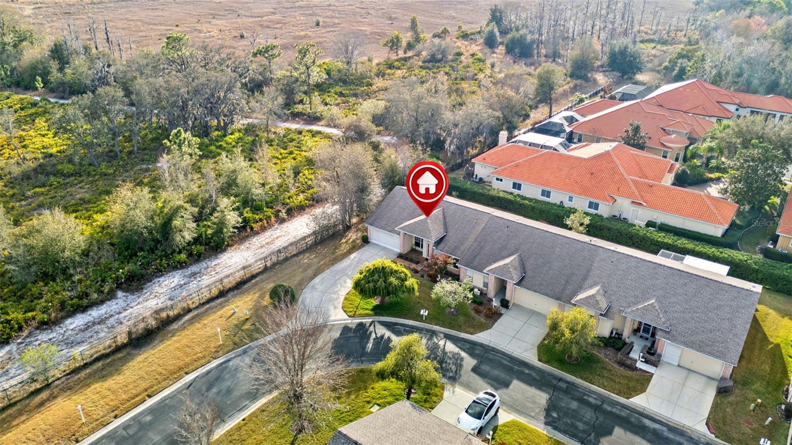 1031 ALMONDWOOD DR, TRINITY, FL, 34655